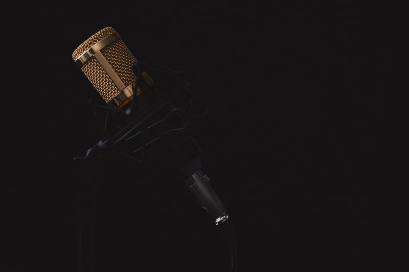 Voice Actor