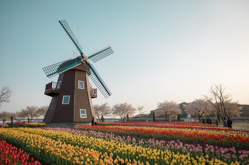 Netherlands Location